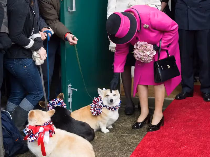 Bà luôn dành thời gian để vỗ về mái tóc của chúng khi nhìn thấy chúng ở các sự kiện.