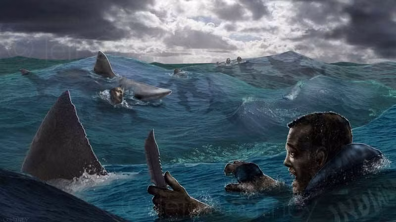 Không giống như một số loài săn mồi khác, chẳng hạn như sư tử và chó sói, hầu hết cá mập săn mồi một mình, Nico Booyens, nhà sinh vật biển kiêm giám đốc nghiên cứu tại Đơn vị nghiên cứu cá mập cho biết: "Các loài cá mập khác nhau có kỹ thuật săn mồi khác nhau, nhưng nhiều loài cá mập là loài săn mồi đơn độc dựa vào thị giác, khứu giác và khả năng tiếp nhận điện để xác định vị trí con mồi."