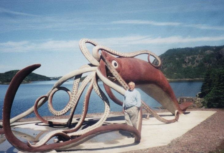 Phần lớn những gì các nhà khoa học biết về mực khổng lồ đến từ xác mực khi trôi nổi trên mặt biển, mắc cạn hoặc nằm trong bụng cá nhà táng.