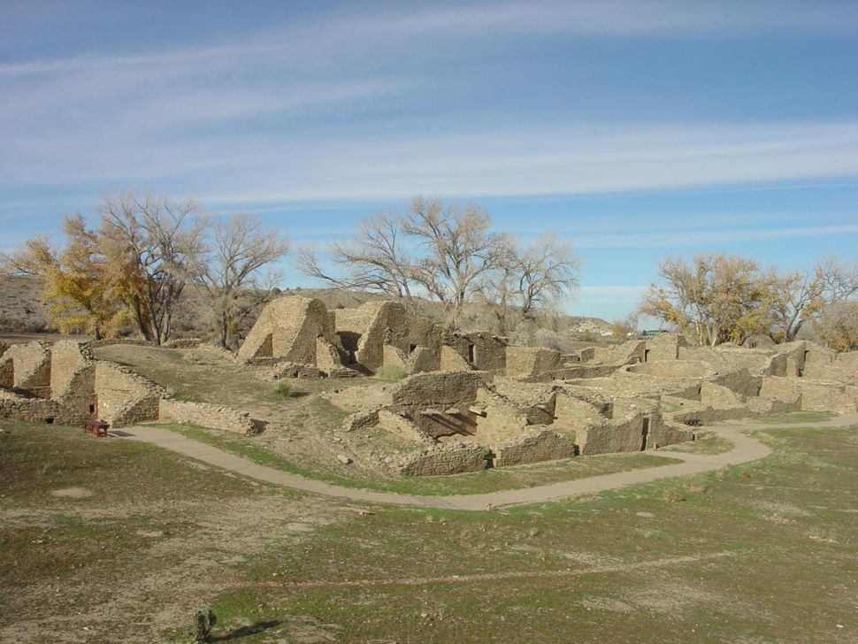 6. Dịch bệnh Cocoliztli: 1545-1548. Các nhiễm trùng gây ra dịch bệnh Cocoliztli là một hình thức của bệnh sốt xuất huyết đã giết chết 15 triệu cư dân Mexico và Trung Mỹ.