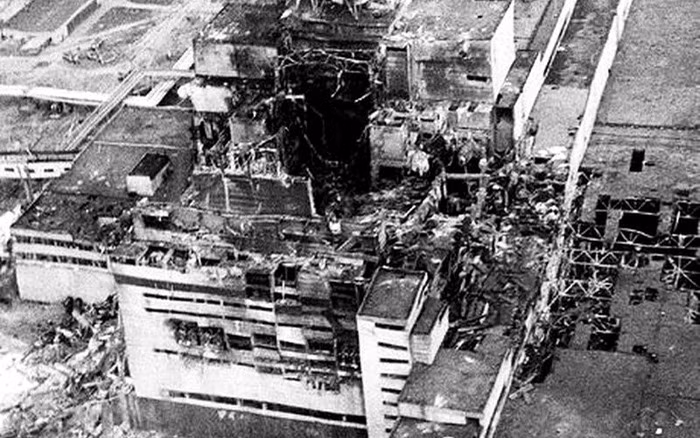 Hơn 36 năm sau thảm họa hạt nhân Chernobyl kinh hoàng, những chú chó hoang vẫn lang thang giữa những tòa nhà đổ nát và xung quanh nhà máy Chernobyl.