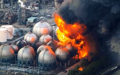 "Đây là một cột mốc quan trọng đối với chúng tôi. Và điều đáng ngạc nhiên là chúng tôi thậm chí có thể xác định được các bầy khác nhau", nữ chuyên gia nói, đồng thời cho hay họ đã xác định được khoảng 15 bầy chó khác nhau. Bây giờ các nhà nghiên cứu có thể bắt đầu xem xét những thay đổi trong DNA của những con chó hoang này.