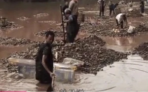 Sau khi tiến hành nghiên cứu sâu hơn về ngôi mộ cổ, các chuyên gia nhận thấy có một chu sa dày tới hơn 5cm bao phủ xung quanh ngôi mộ.