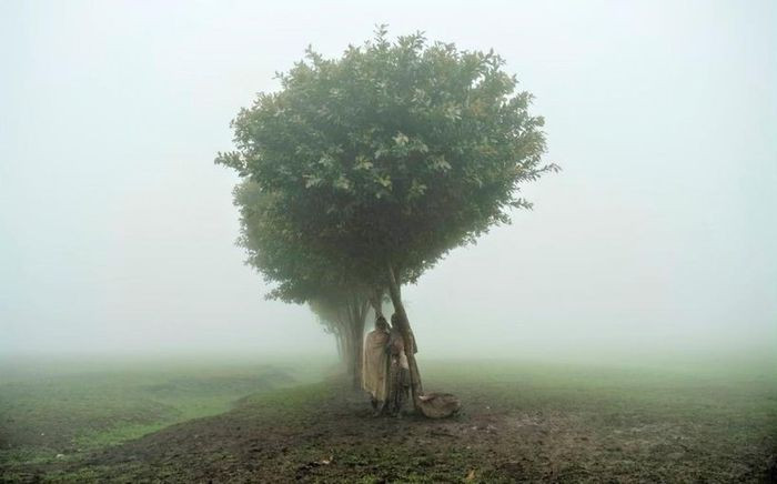 Một nhóm trẻ em đứng chụp ảnh dưới gốc cây trong trại dành cho người tị nạn ở phía Đông Bắc thành phố Gondar thuộc Ethiopia. Lớp sương mù bao phủ đã tạo nên một bức ảnh vô cùng huyền ảo.