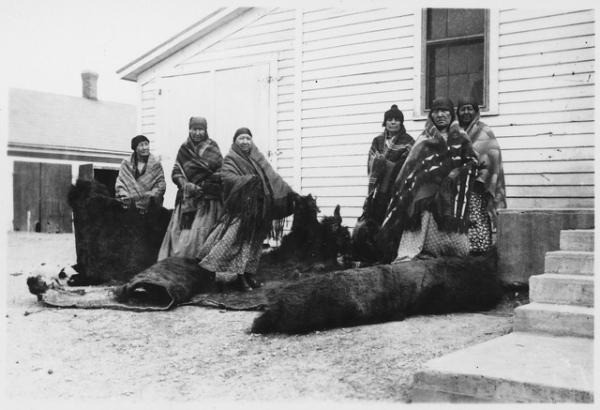 Các nhà khoa học cũng đã chỉ ra rằng việc tiêu diệt bò rừng bison đã dẫn đến tỷ lệ tử vong ở trẻ em tăng cao đáng kể, lên đến gần 16% vào đầu thế kỷ 20. Nghiên cứu cũng cho thấy các cộng đồng phụ thuộc vào bò rừng bison đã trải qua một quá trình chuyển đổi nghề nghiệp quy mô lớn có tác động lâu dài. Từ cuối thế kỷ 20 đến nay, thu nhập bình quân đầu người của các cộng đồng này vẫn thấp hơn 25% so với các cộng đồng không phụ thuộc vào bò rừng bison.