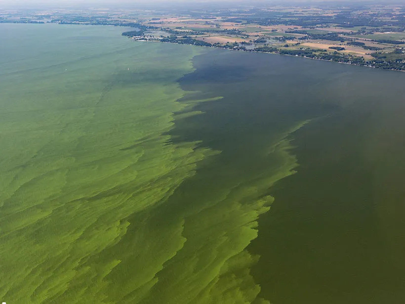 Hồ nước bí ẩn này có tên Erie, một trong những tuyến đường thủy nội địa có tàu bè qua lại nhiều nhất trên thế giới. Ngoài ra, do chứng kiến nhiều thảm họa nên hồ Erie còn được ví như "nghĩa địa" ở vùng Ngũ Đại Hồ.