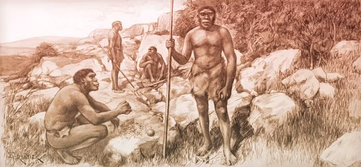 Các nhà nghiên cứu cũng khai quật được dấu vết của một con tê giác mà họ xác định là Stephanorhinus kirchbergensis hoặc S. hemitoechus. Chúng là dấu chân đầu tiên của một trong hai loài từng được tìm thấy ở châu Âu.