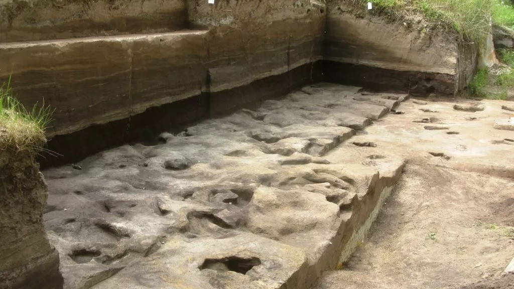 Altamura nói: "Đây chính là bằng chứng về sự tồn tại của trẻ em tại thời điểm đó". Đây là một phát hiện đáng chú ý vì dấu hiệu của trẻ em tại các địa điểm thời tiền sử rất khan hiếm.