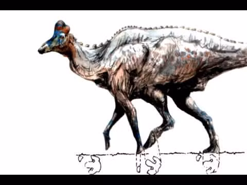 Điều đó khiến lớp da của con vật có khả năng khô tự nhiên. Những xác ướp có thể bị chôn vùi nhiều tuần hoặc nhiều tháng, sau khi tất cả loài ăn xác thối từ cá sấu tới vi khuẩn đã gặm nhấm cơ thể. Bằng cách ăn xác, chúng có thể góp phần giúp cái xác sẵn sàng cho quá trình hóa thạch.