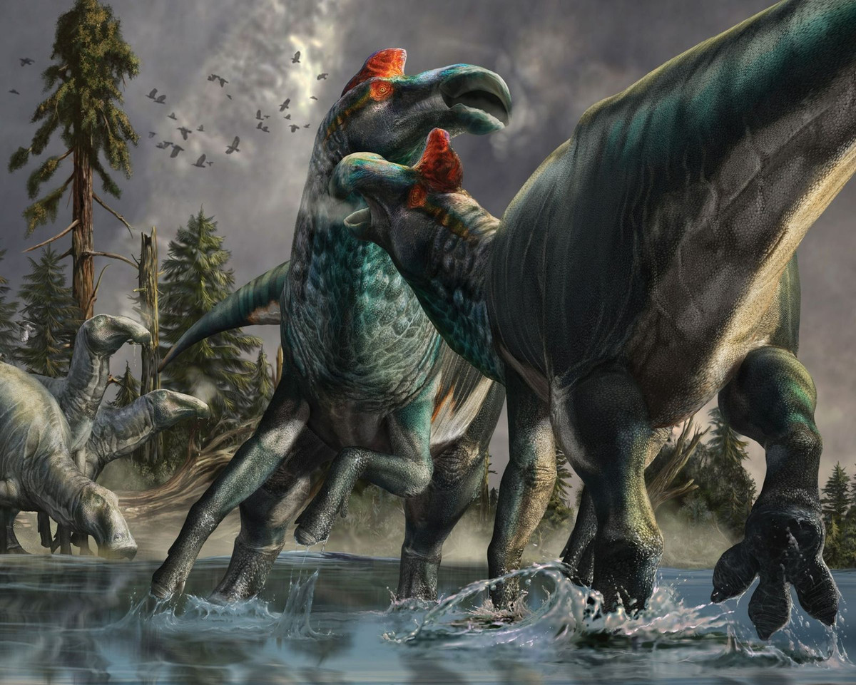 Cách đây khoảng 67 triệu năm ở khu vực ngày nay là Bắc Dakota, một con khủng long mỏ vịt (Edmontosaurus) đã ngã quỵ và chết. Khi đó, những họ hàng cổ đại của cá sấu tranh thủ cắn xé xác nó, để lại nhiều lỗ thủng trên da và vết răng ở xương.
