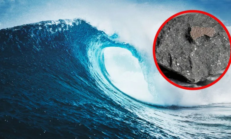 Hydro trong nước của thiên thạch ở hai dạng là hydro thông thường và đồng vị hydro là deuterium. Nhóm nghiên cứu nhận thấy tỷ lệ hydro so với deuterium khớp với tỷ lệ của nước trên Trái Đất, chứng tỏ nước ở thiên thạch và nước trên Trái Đất có cùng nguồn gốc. Họ cũng tìm thấy các axit amin, đơn vị cấu thành protein, có trong khối đá.