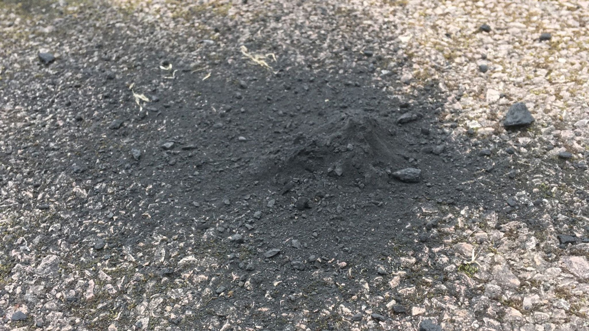 "Nghiên cứu này cung cấp cái nhìn sâu sắc về cách Trái đất có nước - nguồn gốc của nhiều sự sống. Các nhà nghiên cứu sẽ tiếp tục quan sát và phân tích mẫu vật này trong nhiều năm tới, với hi vọng sẽ mở ra nhiều bí mật hơn về nguồn gốc Trái Đất và hệ Mặt Trời của chúng ta."