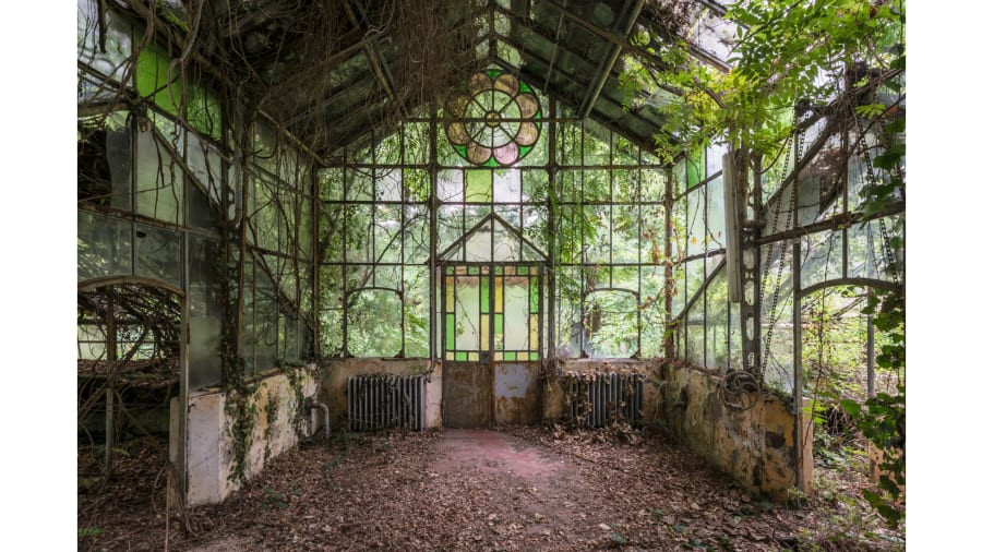 Veillon hy vọng những hình ảnh ám ảnh này sẽ như một lời nhắc nhở về "sự cần thiết để sống hài hòa với thiên nhiên của chúng ta."