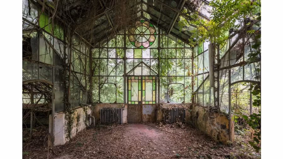 Veillon hy vọng những hình ảnh ám ảnh này sẽ như một lời nhắc nhở về "sự cần thiết để sống hài hòa với thiên nhiên của chúng ta."