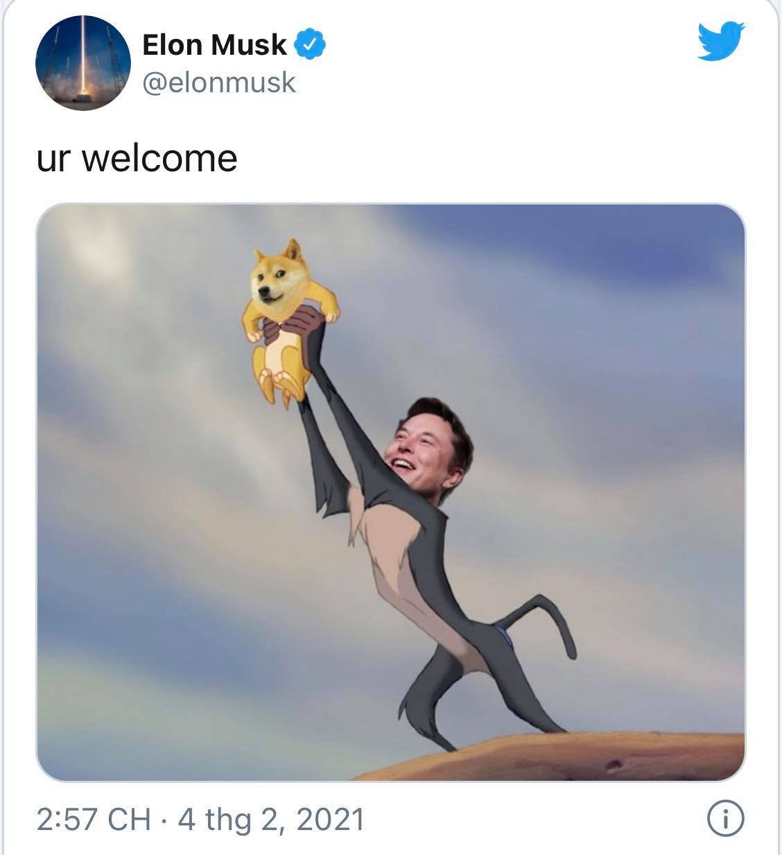 Bat ngo nhung cum tu duoc tim kiem thinh hanh nhat nam 2021-Hinh-11