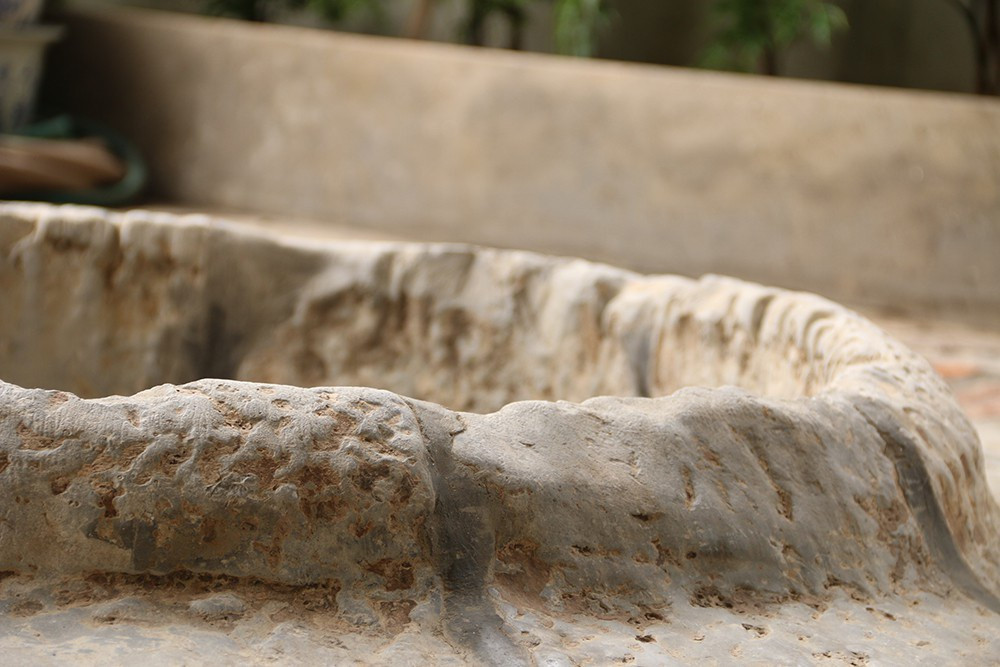 Tiến sĩ Muhammad Mujahid, Phó Giám đốc nghiên cứu Cộng hòa Séc, xác nhận rằng các cuộc khai quật khảo cổ học trong khu vực sẽ tiếp tục trong suốt năm 2022 nhằm phát hiện những cổ vật có từ thời Ai Cập cổ đại để khám phá thêm văn hóa, bản sắc Ai Cập độc đáo.