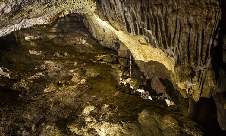 Nhóm nghiên cứu gồm hơn 20 nhà khảo cổ học từ Viện Bảo vệ Di tích Văn hóa Tây Tạng, Đại học Tứ Xuyên và Viện Cổ sinh Động vật có xương sống và Cổ nhân loại học Trung Quốc, bắt đầu thám hiểm Dingqiong vào tháng 7/2021.