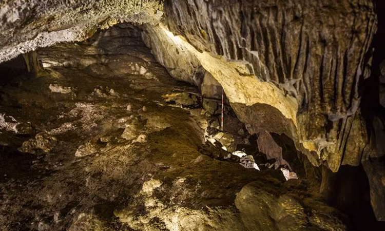 Nhóm nghiên cứu gồm hơn 20 nhà khảo cổ học từ Viện Bảo vệ Di tích Văn hóa Tây Tạng, Đại học Tứ Xuyên và Viện Cổ sinh Động vật có xương sống và Cổ nhân loại học Trung Quốc, bắt đầu thám hiểm Dingqiong vào tháng 7/2021.