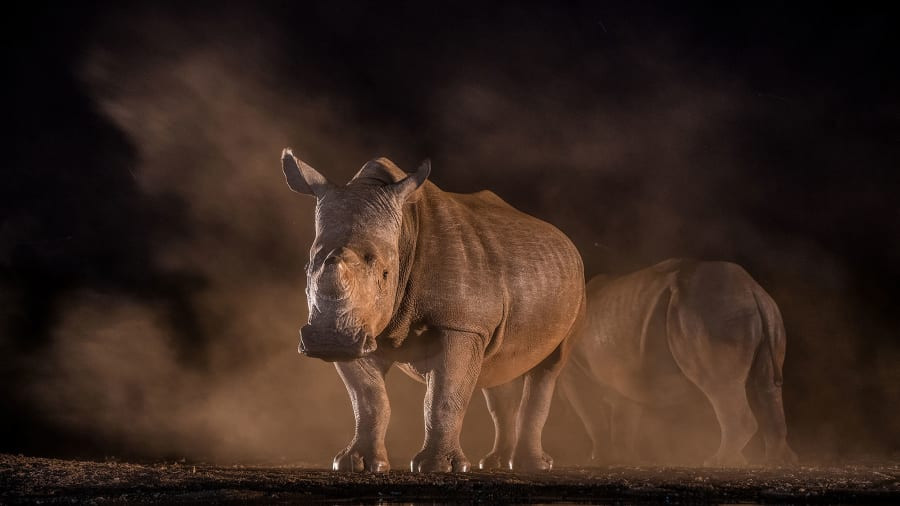 "Chỉ cần ở đúng nơi, canh đúng thời điểm, cùng với một chút kiên nhẫn và may mắn, bạn có thể đem lại cho mình một bức ảnh để đời về động vật hoang dã".