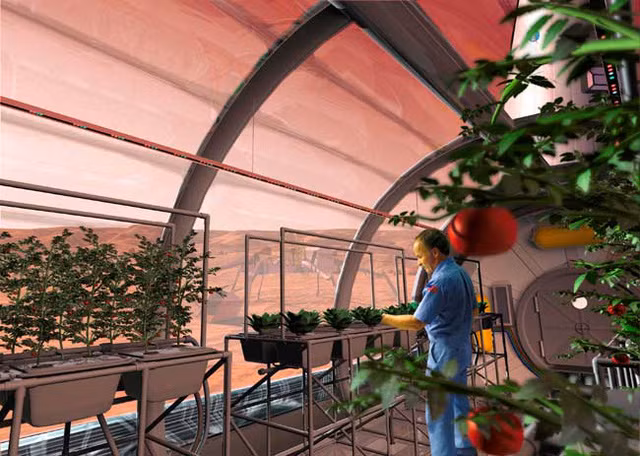 Khi tất cả các thiết bị đến nơi, công việc sản xuất thực phẩm có thể bắt đầu và Strickland cho biết khu vực trồng trọt ban đầu sẽ cần khoảng 185 mét vuông và 100 kW điện cho mỗi người.