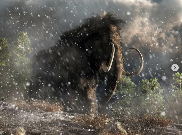 Nun cho ga chết trong tư thế "khoanh chân". Chiếc vòi từng chứa đầy cơ bắp mạnh mẽ của nó bây giờ mềm nhũn, trong khi cơ thể co quắp lại.