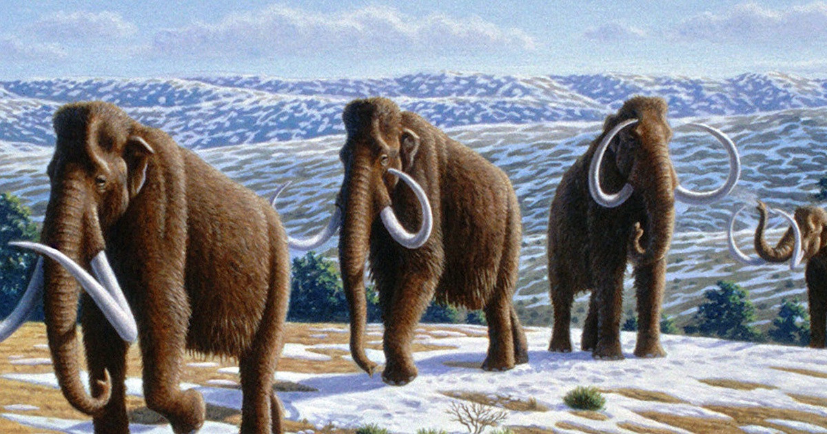 "Hôm nay điều đó đã trở thành hiện thực. Nun cho ga trông thật đẹp và là một trong những xác ướp động vật đáng kinh ngạc nhất từng được khai quật trên thế giới", Tiến sĩ Grant Zazula, một thành viên trong nhóm nghiên cứu, chia sẻ.