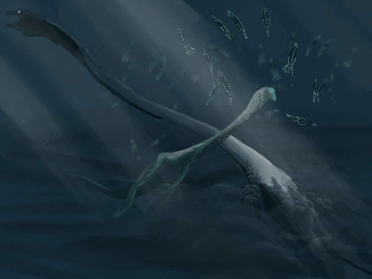 Bằng cách đo khoảng cách giữa các vết thủng của răng, các nhà khoa học có thể so sánh kích thước vết cắn với những kẻ săn mồi lớn sống trong khu vực vào thời điểm đó và tìm ra thủ phạm.