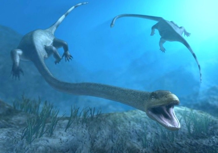 Các nhà nghiên cứu cũng đã tìm thấy bằng chứng cho thấy cuộc tấn công xảy ra từ trên cao, kẻ săn mồi đã sà xuống và cắn vào cổ để chặt đầu Tanystropheus. Kẻ săn mồi đã nhắm vào những chiếc cổ dài để nhanh chóng giết chết Tanystropheus và ăn thịt chúng.