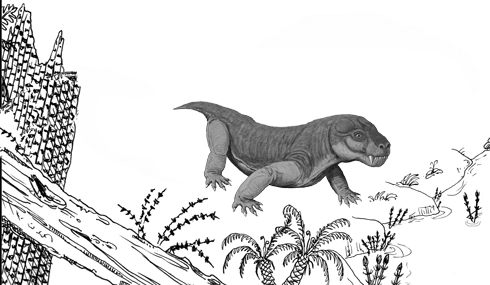 Hai loài Euchambersia đều sống vào cuối kỷ Permi cách đây khoảng 256 đến 252 triệu năm.