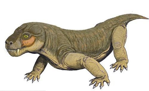 Nó được đặt tên là Euchambersia liuyudongi, theo tên tác giả chính của nghiên cứu Jun Liu, người đầu tiên phát hiện ra mẫu vật.