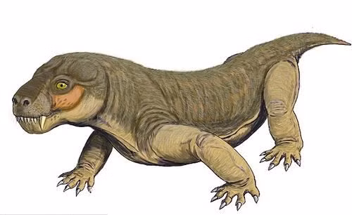 Nó được đặt tên là Euchambersia liuyudongi, theo tên tác giả chính của nghiên cứu Jun Liu, người đầu tiên phát hiện ra mẫu vật.