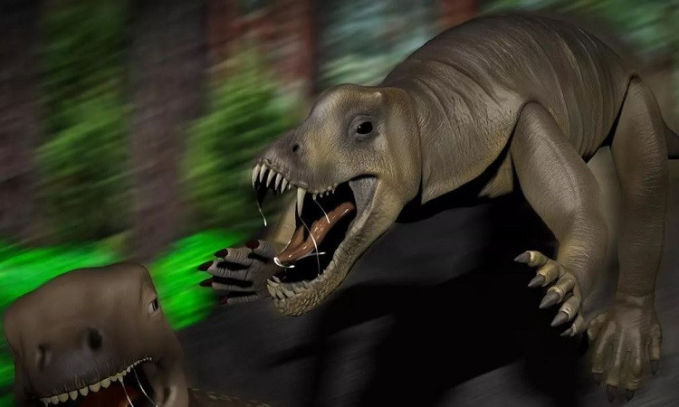 Phân tích cho thấy hộp sọ của Euchambersia liuyudongi có niên đại cách đây khoảng 255 triệu năm.