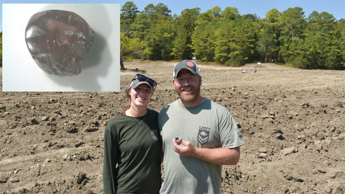 Cặp đôi sau đó mang viên đá quý đến Trung tâm Phát hiện Kim cương của công viên. Các chuyên gia xác nhận, đó là một viên kim cương nâu 1,90 carat cực hiếm, cứ 15 triệu viên mới tìm thấy một viên. Giá trị của viên đá quý này có thể bán được hàng chục nghìn USD.