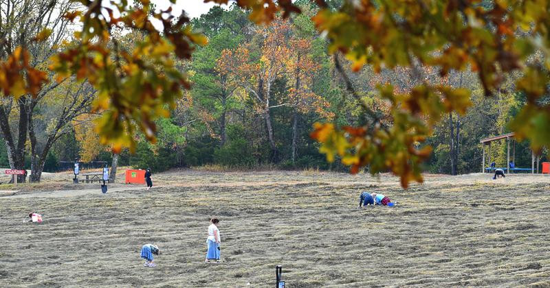 "Công viên chứa lamproite, một loại đá núi lửa. Lamproite và kimberlite là vật chứa phổ biến của kim cương. Những vụ phun trào tốc độ cao đưa vật chất từ độ sâu hàng chục km lên trên bề mặt, trong đó có kim cương", Nicolas Flament, nhà địa chất và địa vật lý tại Đại học Wollongong, cho biết.