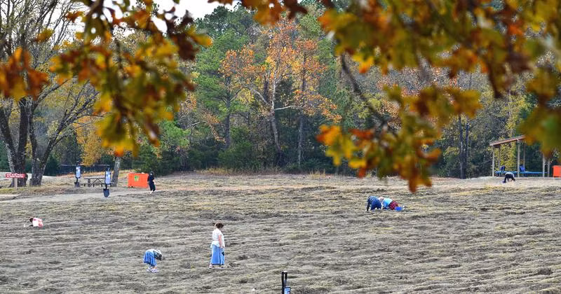 "Công viên chứa lamproite, một loại đá núi lửa. Lamproite và kimberlite là vật chứa phổ biến của kim cương. Những vụ phun trào tốc độ cao đưa vật chất từ độ sâu hàng chục km lên trên bề mặt, trong đó có kim cương", Nicolas Flament, nhà địa chất và địa vật lý tại Đại học Wollongong, cho biết.