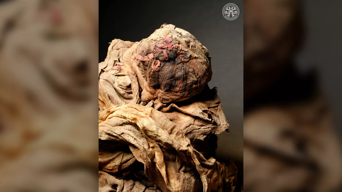 Các nữ hoàng được chôn cất cùng 58 người khác, hầu hết là phụ nữ quý tộc, có thể được chôn cất lại, nhưng một số thuộc các tầng lớp xã hội thấp hơn và dường như bị hiến tế.