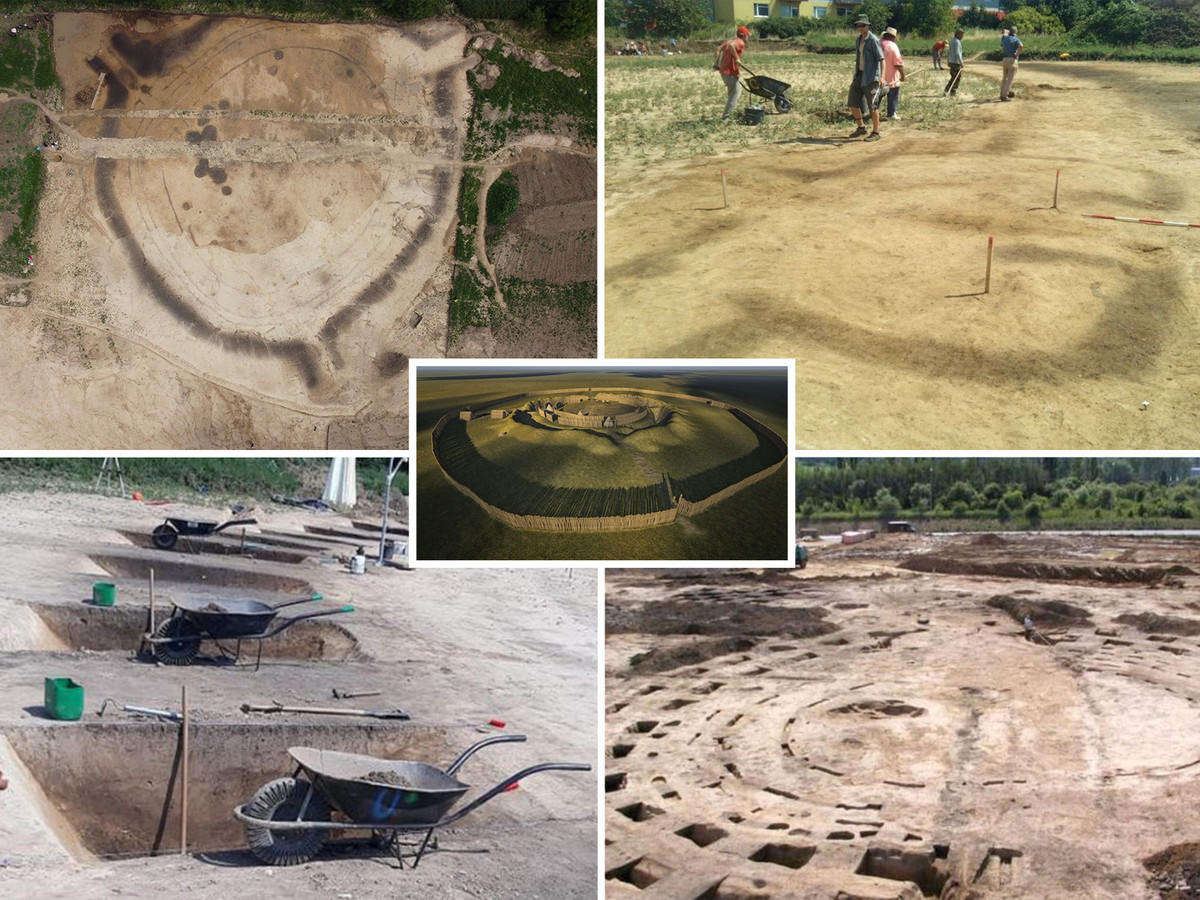 2 trong 3 lối vào tương ứng với hướng Mặt trời mọc và lặn trong mùa đông và mùa hè. Vòng tròn Goseck hoạt động như một đài quan sát hoặc một loại lịch theo dõi thời gian.