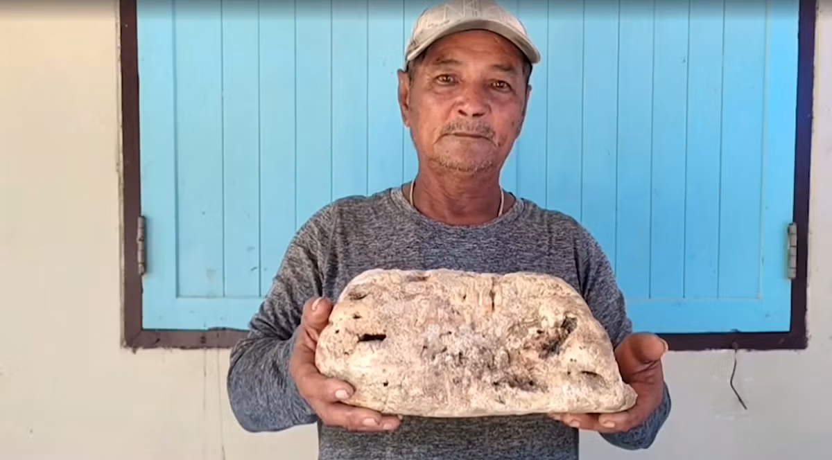 Người đánh cá Prachin Phuekphisut, 64 tuổi, đang trông cháu chơi ngoài bãi biển thì nhìn thấy "cục mỡ lớn" lộ diện trên cát trắng. Vật thể dày 15 cm và dài 25 cm, có mùi hơi tanh nhưng không quá nồng và tan chảy như mỡ khi gặp nhiệt.