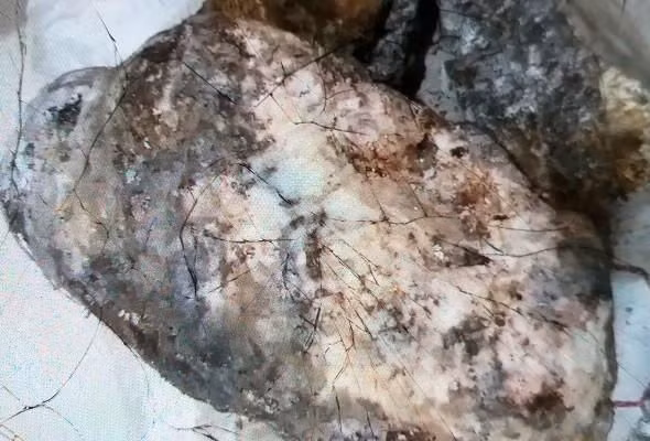 Prachin hào hứng cho biết ông sẽ bán khối long diên hương và dùng số tiền này để đưa các cháu đi du lịch nước ngoài, sau đó cho chúng học đại học.