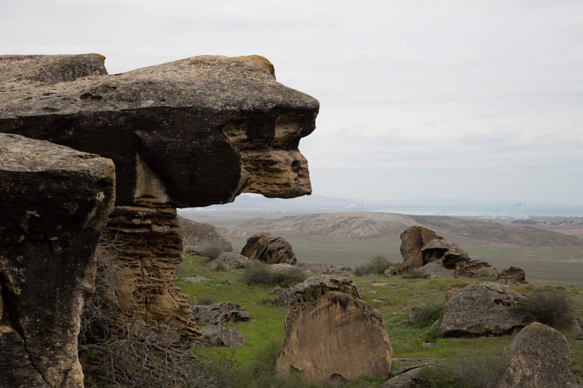 Nhiều ý kiến cho rằng đó là loại âm nhạc "kỳ lạ và ám ảnh" trong khi một số khác lại ví nó như âm thanh của tambourine (là một loại nhạc cụ trong họ bộ gõ bao gồm một khung, thường bằng gỗ hoặc nhựa, với các cặp kim loại nhỏ leng keng).