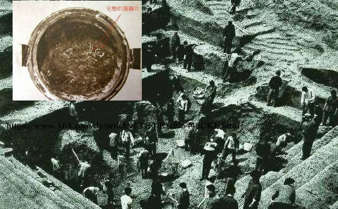 Mặc dù đã rất cẩn thận đỡ nồi canh bằng cả 2 tay nhưng đáng tiếc vừa nhấc lên khỏi hộp, những lát củ sen trong nồi đã tan ra nhanh chóng. Thấy cảnh tượng đó, đội viên Vương lập tức hô to nhân viên mau chụp ảnh lại.