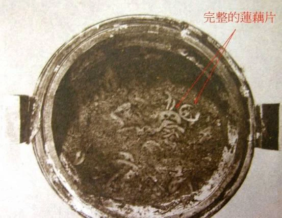 Nhưng đó chưa phải là những món di vật đặc biệt nhất, trong lúc tìm kiếm, một thành viên của nhóm khảo cổ đã tìm thấy một hộp gỗ sơn mài bên trong đựng một nồi canh củ sen còn nguyên vẹn.