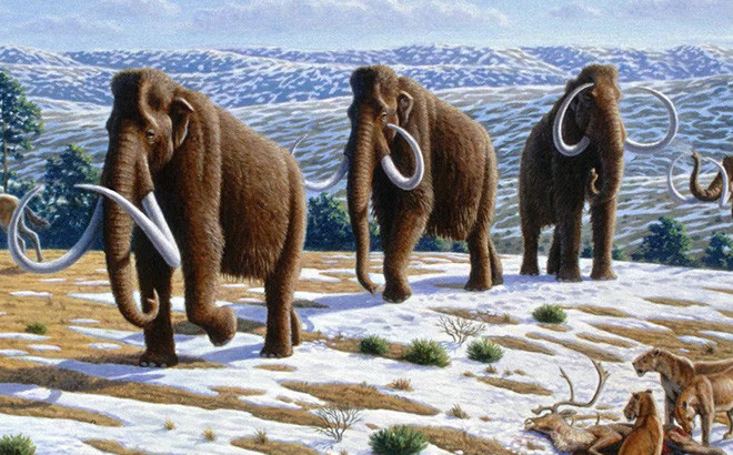 Sherford Consortium thông báo rằng họ sẽ bảo tồn hiện trường và sẽ không có công trình xây dựng nào diễn ra bên trên hoặc trong hang động.