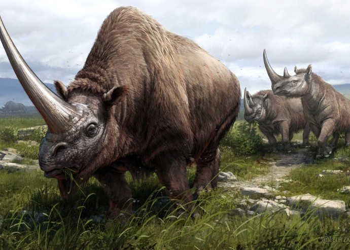 "Tuy nhiên, nó cũng là một đồng cỏ rộng lớn, có khả năng hỗ trợ những đàn động vật chịu lạnh khổng lồ như voi ma mút lông xoăn, tê giác lông mượt và tuần lộc, cũng như những loài ăn thịt lớn như linh cẩu và sói săn mồi."