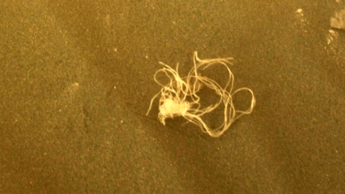 Giữa tháng 8 năm nay, robot Perseverance của NASA đã bắt gặp những mảnh vật liệu bị thải bỏ trong quá trình hạ cánh, đó là một mớ lưới hỗn độn..