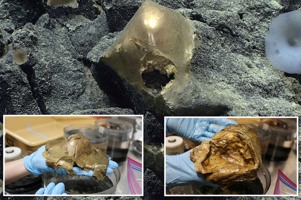 Giả thuyết được các nhà khoa học đưa ra nhiều nhất cho tới thời điểm hiện tại đó là có thể có thứ gì đó đã nở ra từ quả cầu vàng.