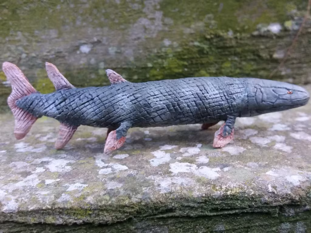 Triistichopterids đã biến mất trong một sự kiện tuyệt chủng hàng loạt vào cuối kỷ Devon, khoảng 359 triệu năm trước. hlj;