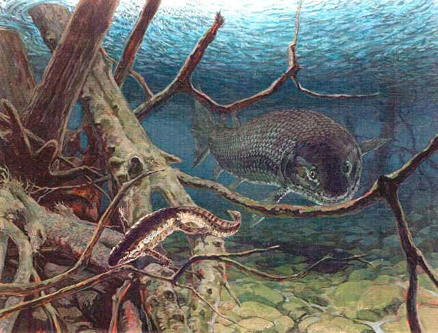 Robert Gess, nhà cổ sinh vật học và cộng tác viên nghiên cứu tại Bảo tàng Albany và tại Đại học Rhodes ở Nam Phi, đồng tác giả nghiên cứu cho biết: “Đó là một hành trình dài để tìm ra câu trả lời về nguồn gốc của những chiếc vảy này".