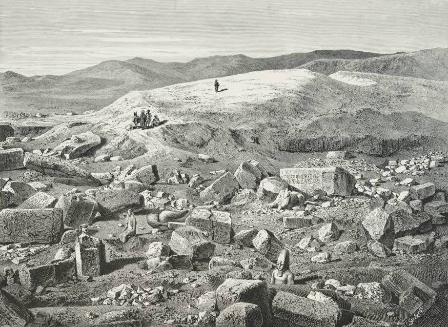 DePalma, nghiên cứu sinh cao học ở Đại học Manchester, Anh kiêm trợ giảng ở Đại học Florida Atlantic, bắt đầu làm việc ở Tanis, nơi được biết đến là địa điểm tìm thấy hóa thạch, vào năm 2012.