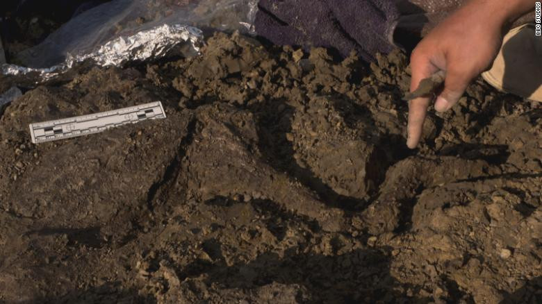 Các nhà nghiên cứu có thể xác định một số mẩu đá chưa tan chảy bên trong viên cầu thủy tinh. Phần lớn mẩu đá tí hon rất giàu canxi, nhiều khả năng từ đá vôi bên dưới vịnh Yucatan.